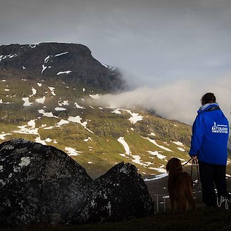 Riksgränsen Katterjokk Turiststationホステル エクステリア 写真